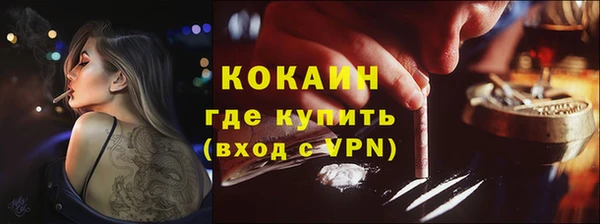 крисы Кулебаки