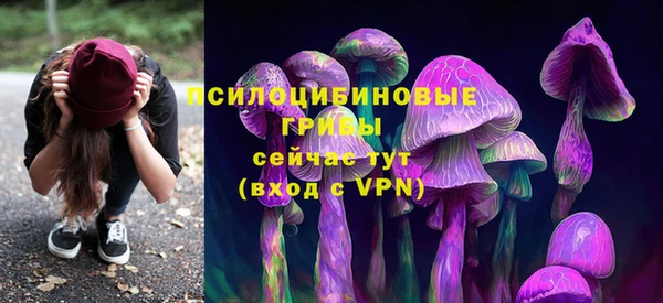 мет Кукмор