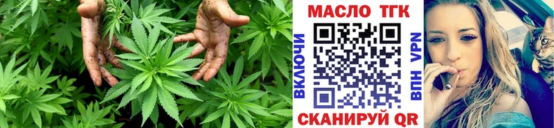 закладки  ОМГ ОМГ tor  ТГК жижа  Кяхта 