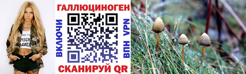 ОМГ ОМГ зеркало  магазин  наркотиков  Кяхта  Псилоцибиновые грибы мухоморы 