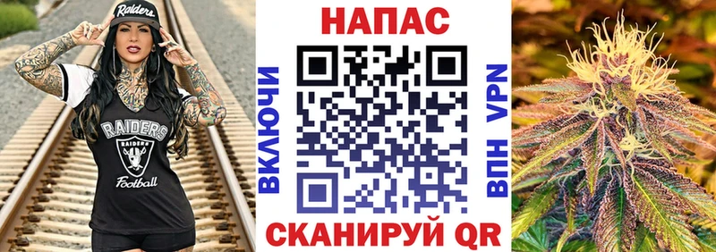 где купить наркотик  Кяхта  Шишки марихуана гибрид 